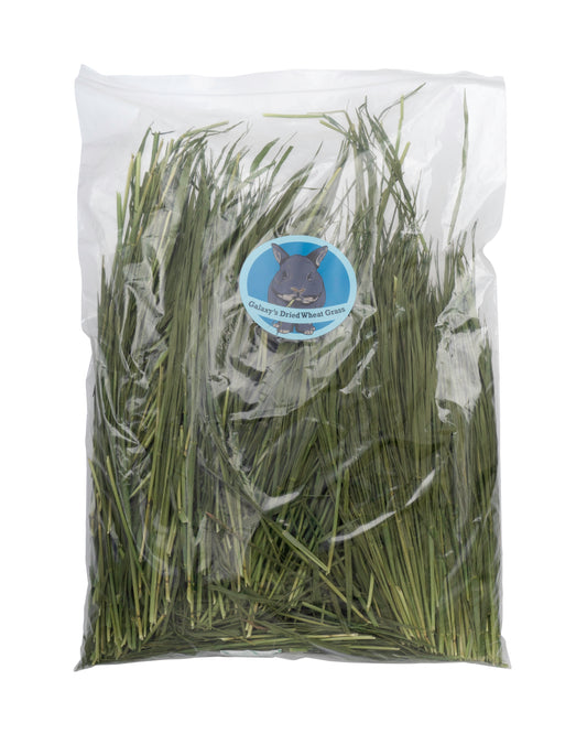 Galaxy's Dried Wheat Grass