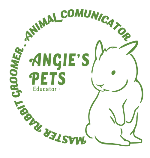 Angie's Pets